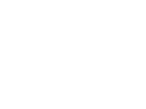 לוגו וסלוגן של כסף דיגיטלי צבע לבן בעברית